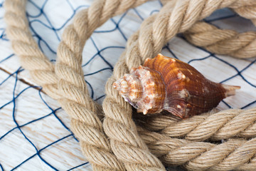 shell and rope