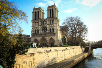 Fototapeta na wymiar Notre Dame de Paris Cathedral
