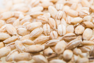 pearl barley close-up