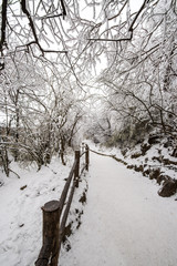 path in the Emei Mountain in winter -Leshan, Sichuan, China