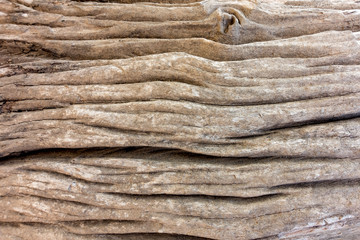 Wooden slab background