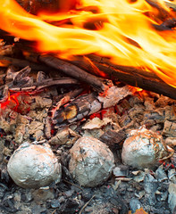 Potatoes in the fire