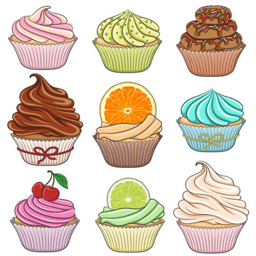 Set of color illustrations cupcakes. Isolated objects on a white background