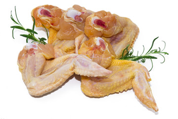 chicken wings isolated