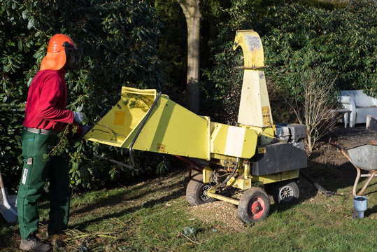 gardener loading wood chipper with cutted boughs