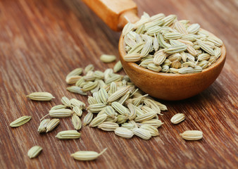 Fennel seeds in a wooden spoon