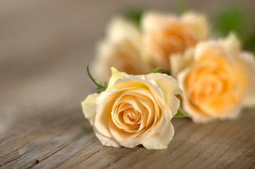 Bouquet of roses on wooden boards