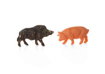 toy pig and wild boar. plastic miniature figurines of domestic pigs and wild boar isolated on white background