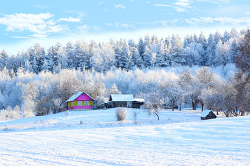 Winter. Beautiful winter landscape with snow covered trees. Village in winter. Winter countryside. Colored house in winter forest