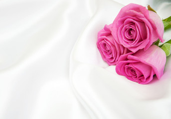 roses on white silk background