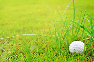 Golf ball on the green