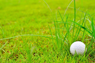 Golf ball on the green