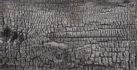 background burnt wood