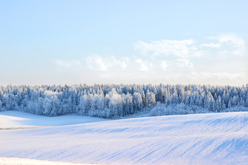 Winter. Beautiful winter landscape with snow covered trees