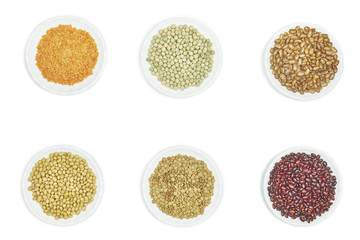 Legumes