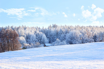 Winter. Beautiful winter landscape with snow covered trees. Village in winter. Winter countryside. Colored house in winter forest