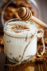 Natural fresh yogurt with  nuts and honey