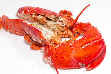 Lobster.