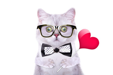 Smart handsome cat with icon heart. Funny animals. Trendy cat dressed in beautiful clothes