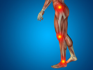 Obraz premium 3D human man pain anatomy on blue background