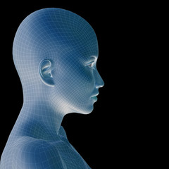 Conceptual 3D wireframe human female or woman face or head