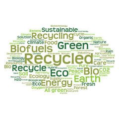 Conceptual ecology word cloud isolated