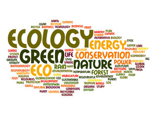 Conceptual ecology word cloud
