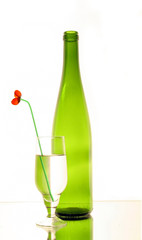 bottles glass flover abstraction