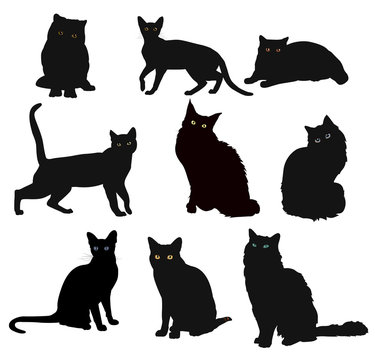 Vector Breed cats silhouette in different poses isolated