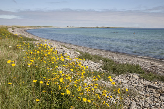 Bay of Lopness with Wreck of WWI German Destroyer, Isle of Sanday, Orkney Islands, Scotland
