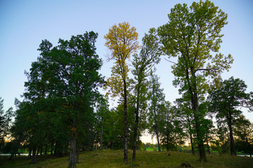 Fototapeta premium Autumn in Oslo