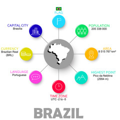 vector easy infographic state brazil