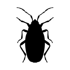 silhouette Pyrrhocoris apterus. beetle silhouette. Bug-soldier silhouette. Firebug silhouette.  Firebug  silhouette isolated on white background.  hand-drawn beetle silhouette. Vector 