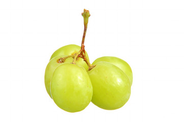 selective focus of bunch green grapes isolated on white