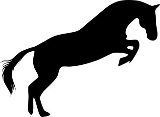 Silhouette of jumping horse