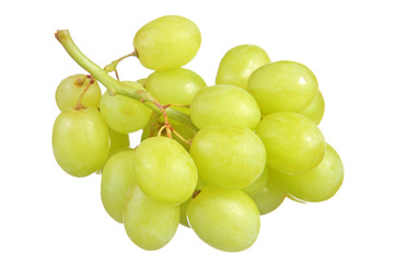 selective focus of bunch green grapes isolated on white