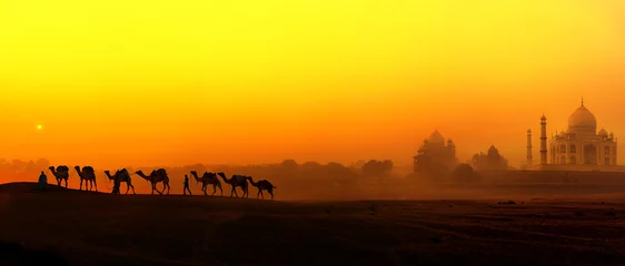 Poster Toerisme panoramisch landschap van Agra, India © Banana Republic