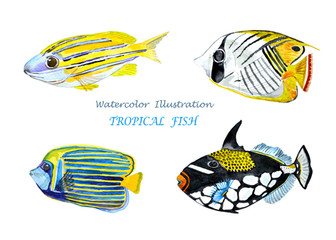 Naklejka premium Watercolor tropical fish.