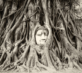 Buddha head in tree roots in Wat Mahathat, Ayutthaya, Thailand 