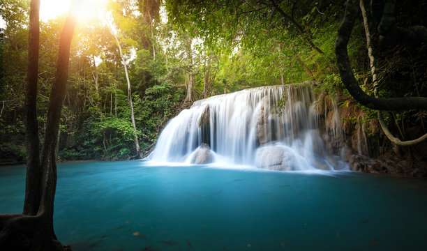 Sunlight shines through trees and leaves of tropical forest and waterfall flows into blue water pond
