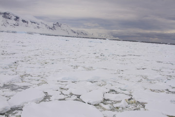 Antarctic horizon with pack ice © karenfoleyphoto