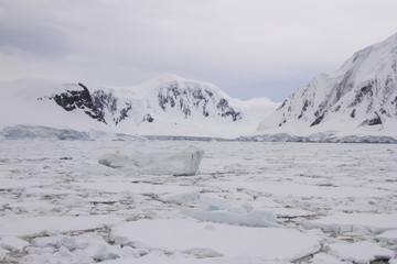 Pack ice with icebergs along Antarctic coastline © karenfoleyphoto