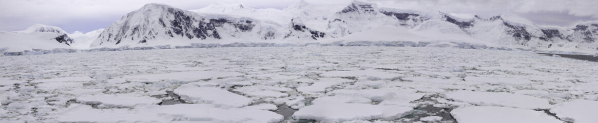 Panorama of pack ice field, Antarctica © karenfoleyphoto