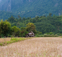 Panoramic view of rice field and green hills. Beautiful nature of rural Laos