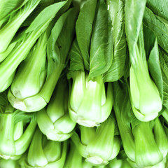 Green salad leaves healthy food background. Vegetables on local asian market of organic products