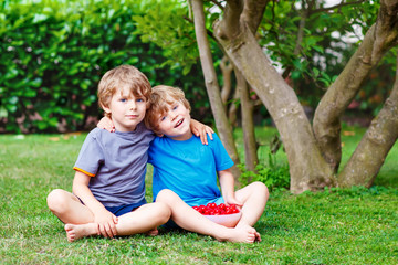 Naklejka na ściany i meble Two little boys picking cherries in garden, outdoors.