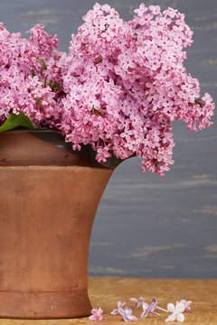 Fresh lilac flowers in the brown ceramic pitcher against blue background.