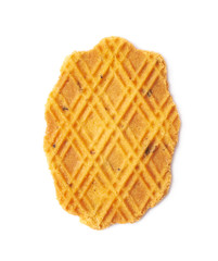 Flat cheese cookie isolated