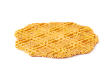 Flat cheese cookie isolated