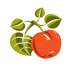Vegetarian organic food simple illustration, vector ripe orange